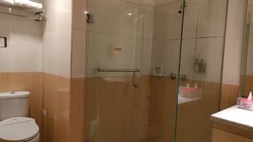 Un baño con ducha de vidrio, inodoro y lavabo con espejo.