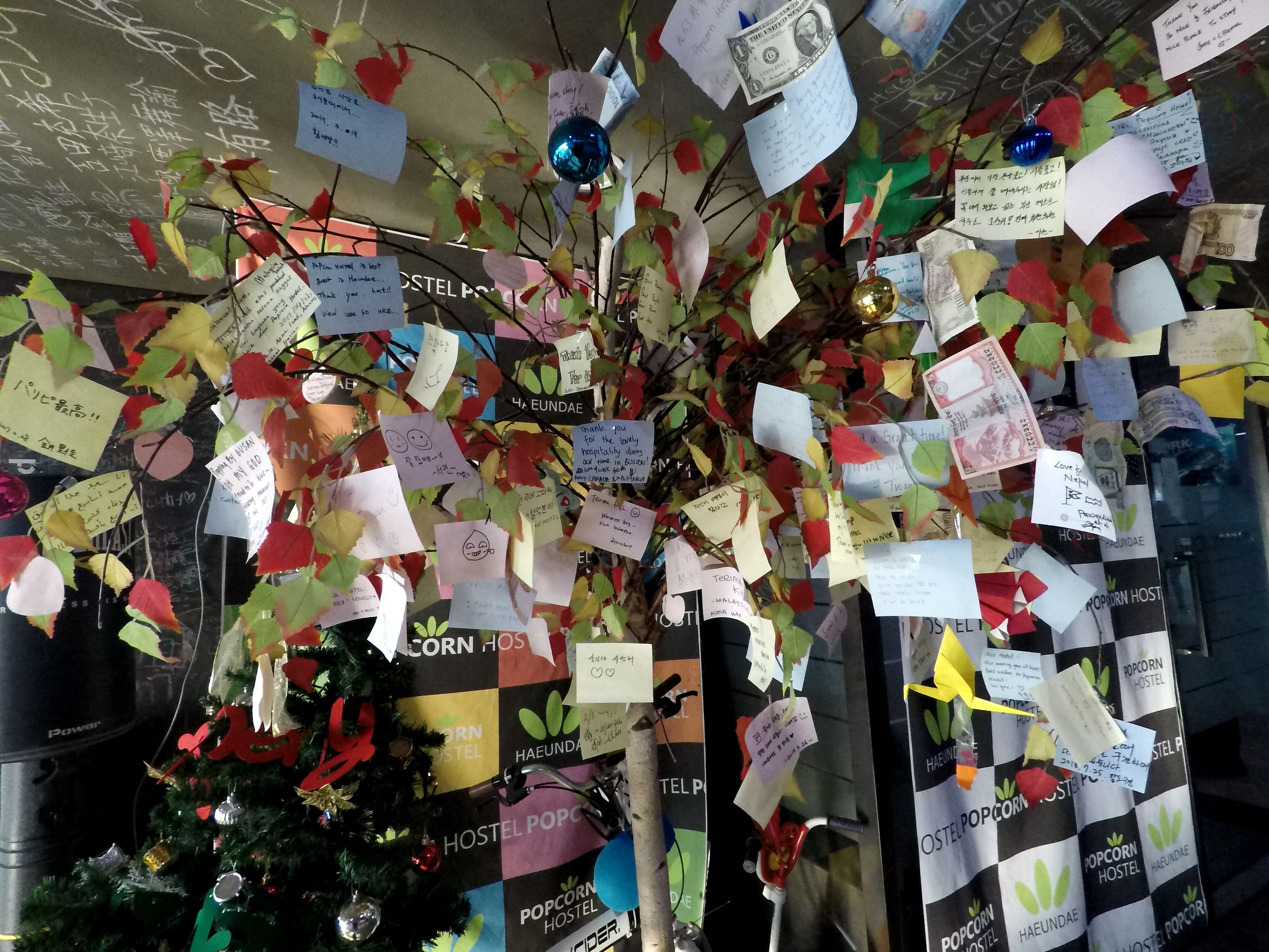 A wall decorated with numerous handwritten notes and colorful paper decorations, including a small Christmas tree.