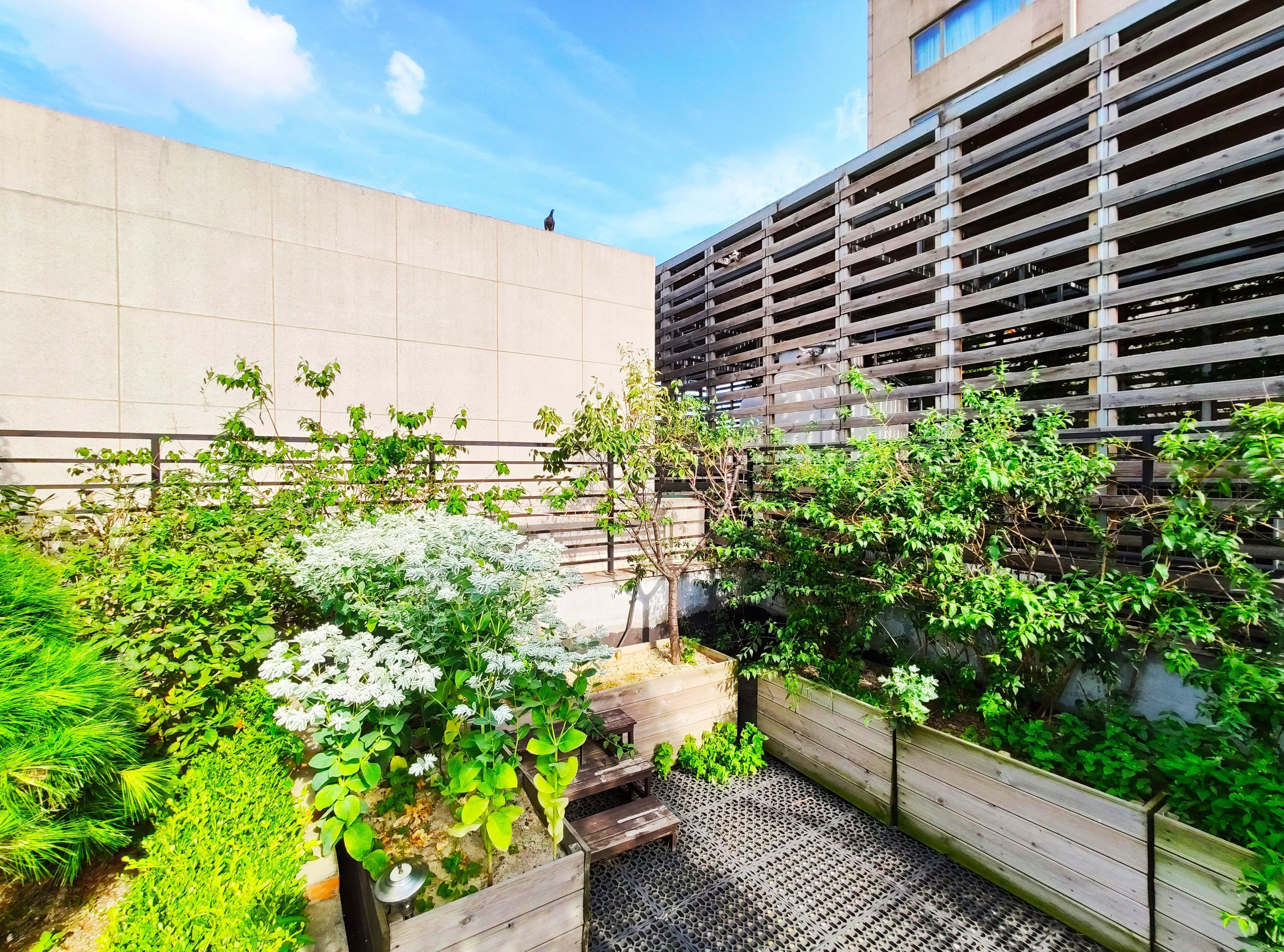 Photo - OYO Hostel Myeongdong 2