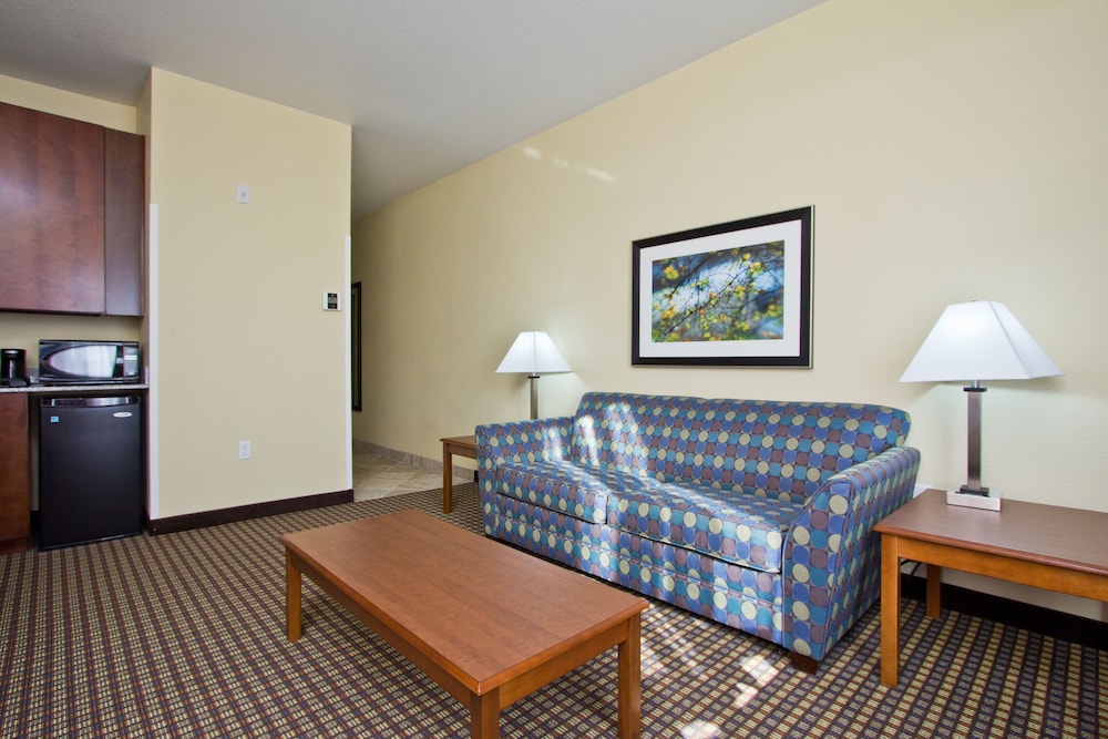 Holiday Inn Express & Suites - Denver East Hotel photo 4