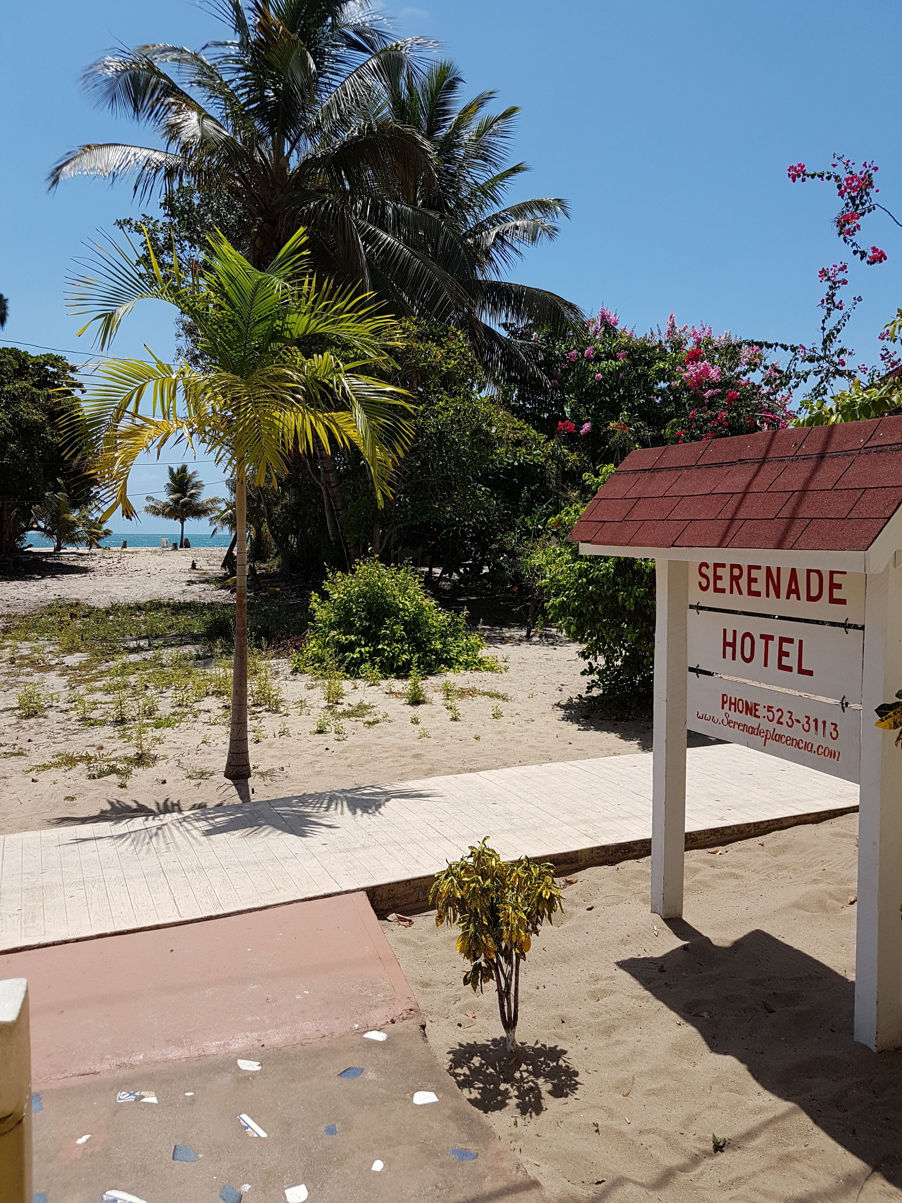 Perto da praia, toalhas de praia 