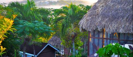 A thatched-roof hut with a large window, surrounded by lush greenery and a small wooden structure.