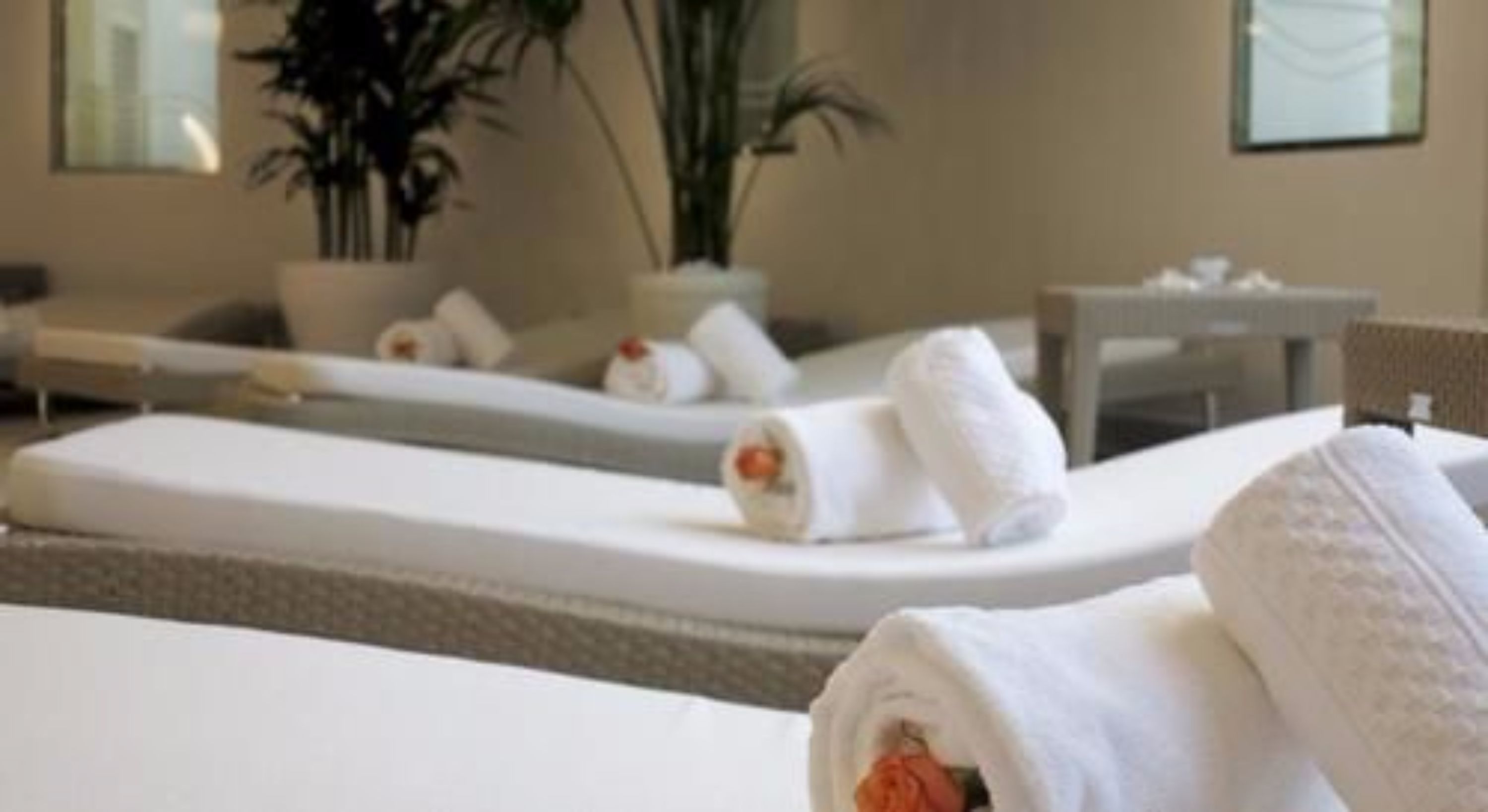 Een hotelkamer met een bed, een massagetafel en een bloempot.