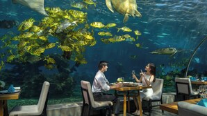 Ein Unterwasserrestaurant mit großem Aquariumfenster, Esstischen und Stühlen.
