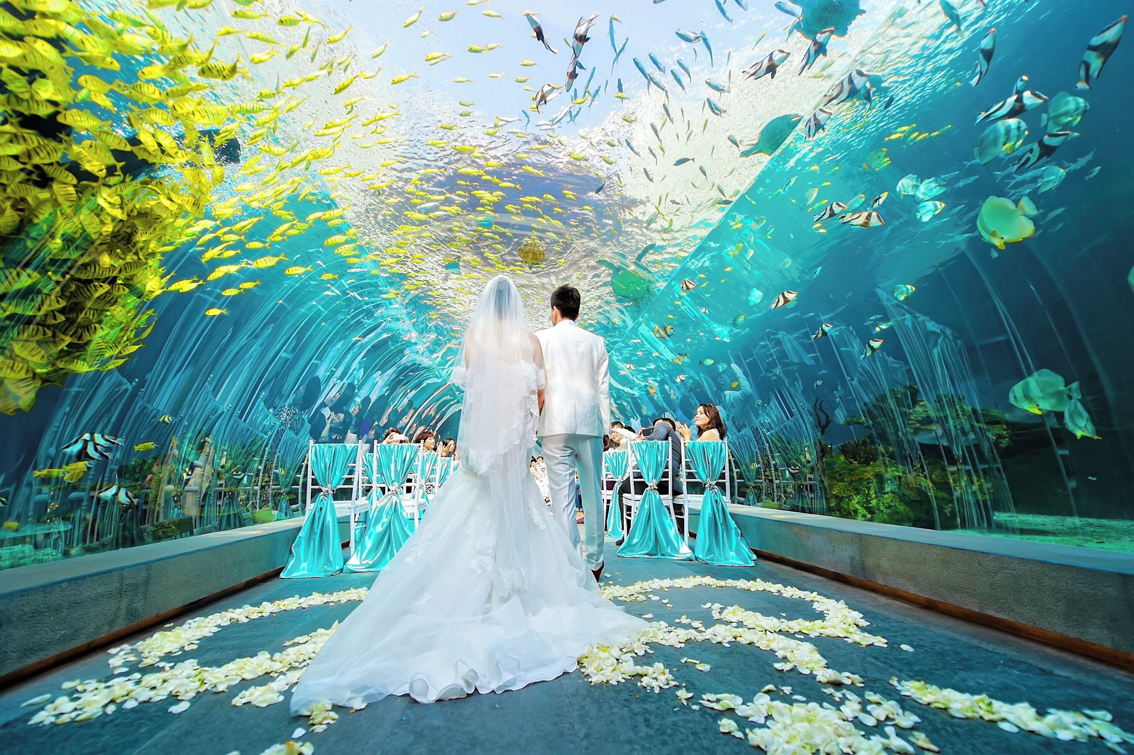 A wedding aisle with a bride and groom walking down, surrounded by guests seated on chairs with a backdrop of an underwater scene with fish.