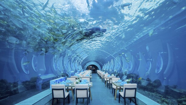 Ein Unterwasserrestaurant mit Tischen und Stühlen, die in einem Tunnel angeordnet sind, umgeben von Meereslebewesen.