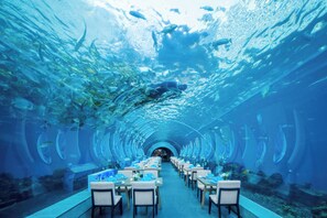 Un restaurant sous-marin où les tables et les chaises sont disposées le long d’un tunnel, entouré de la vie marine.