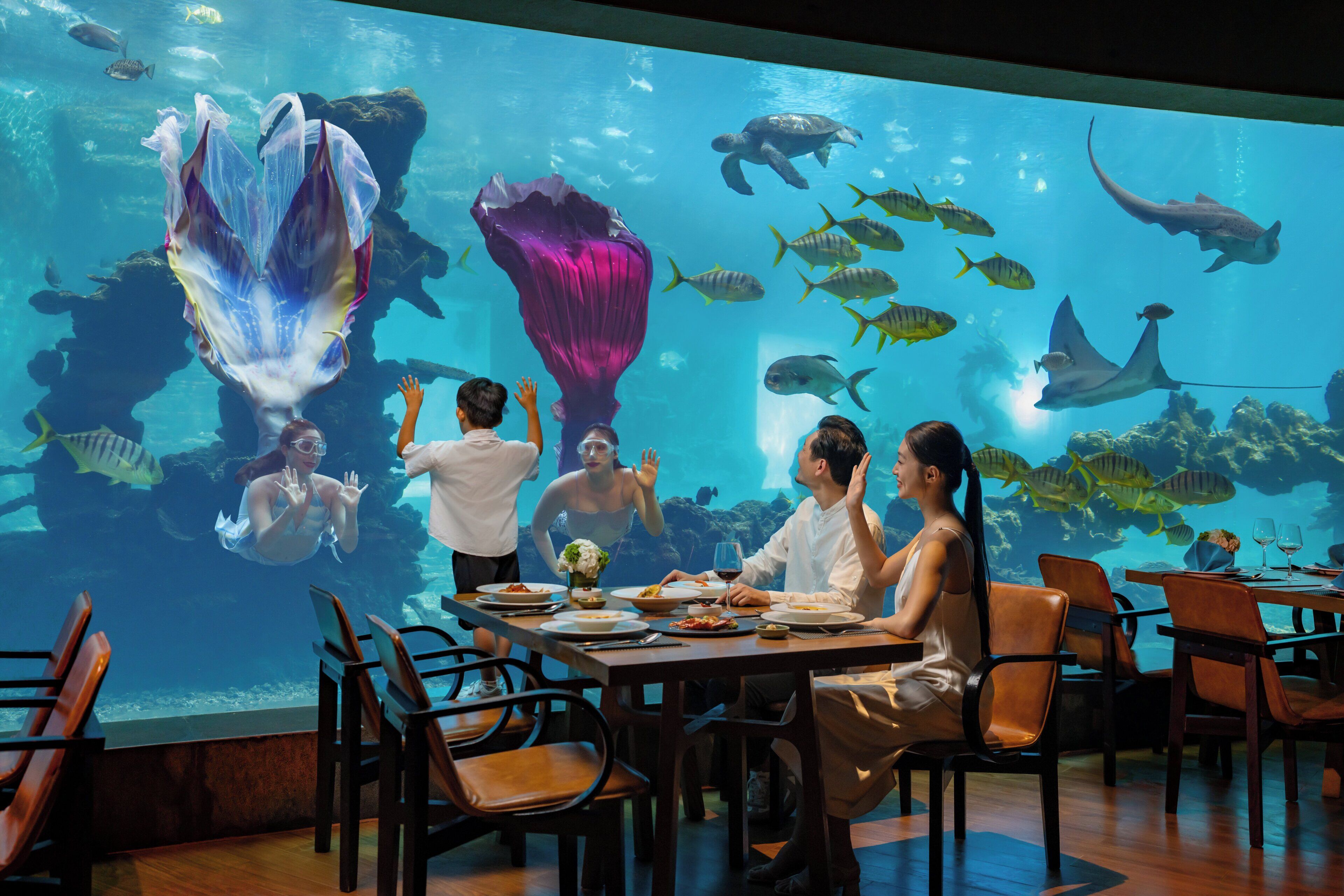 An underwater aquarium with various fish and a large jellyfish display.