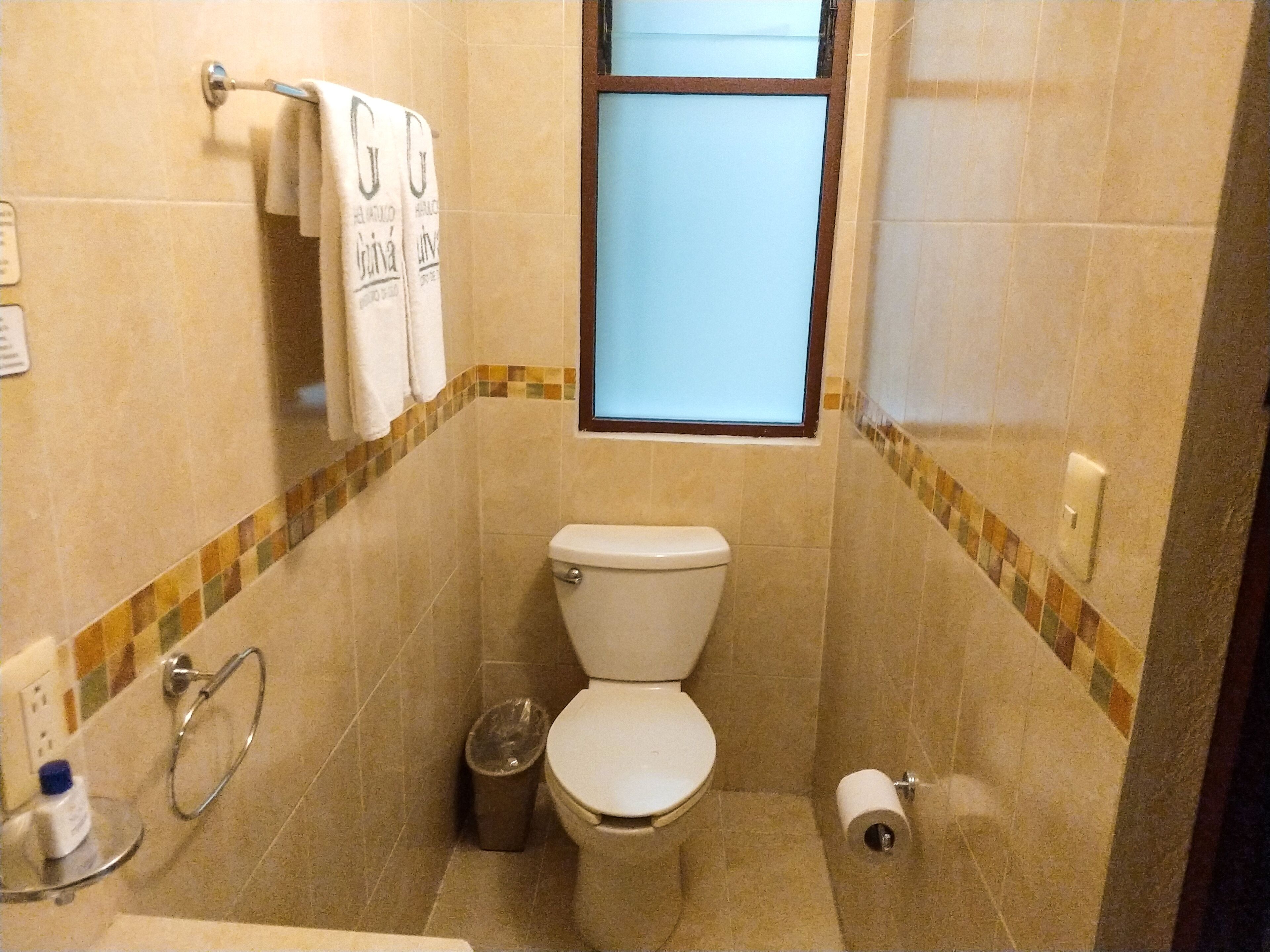 A small bathroom with a toilet, a window, and a shower area.
