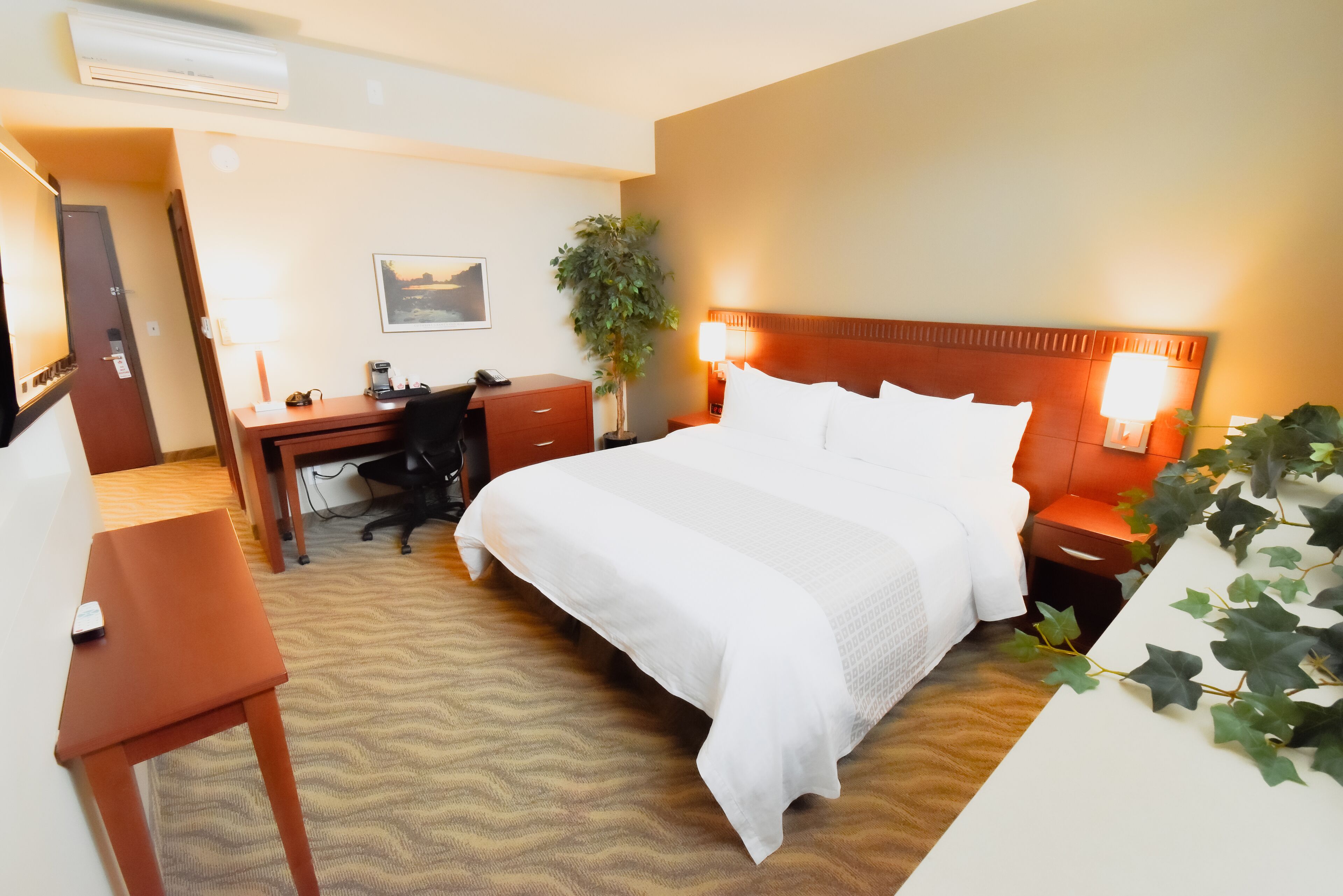 أغطية فراش متميزة وأسرّة بطبقة علوية مريحة ومكتب وستائر تعتيم