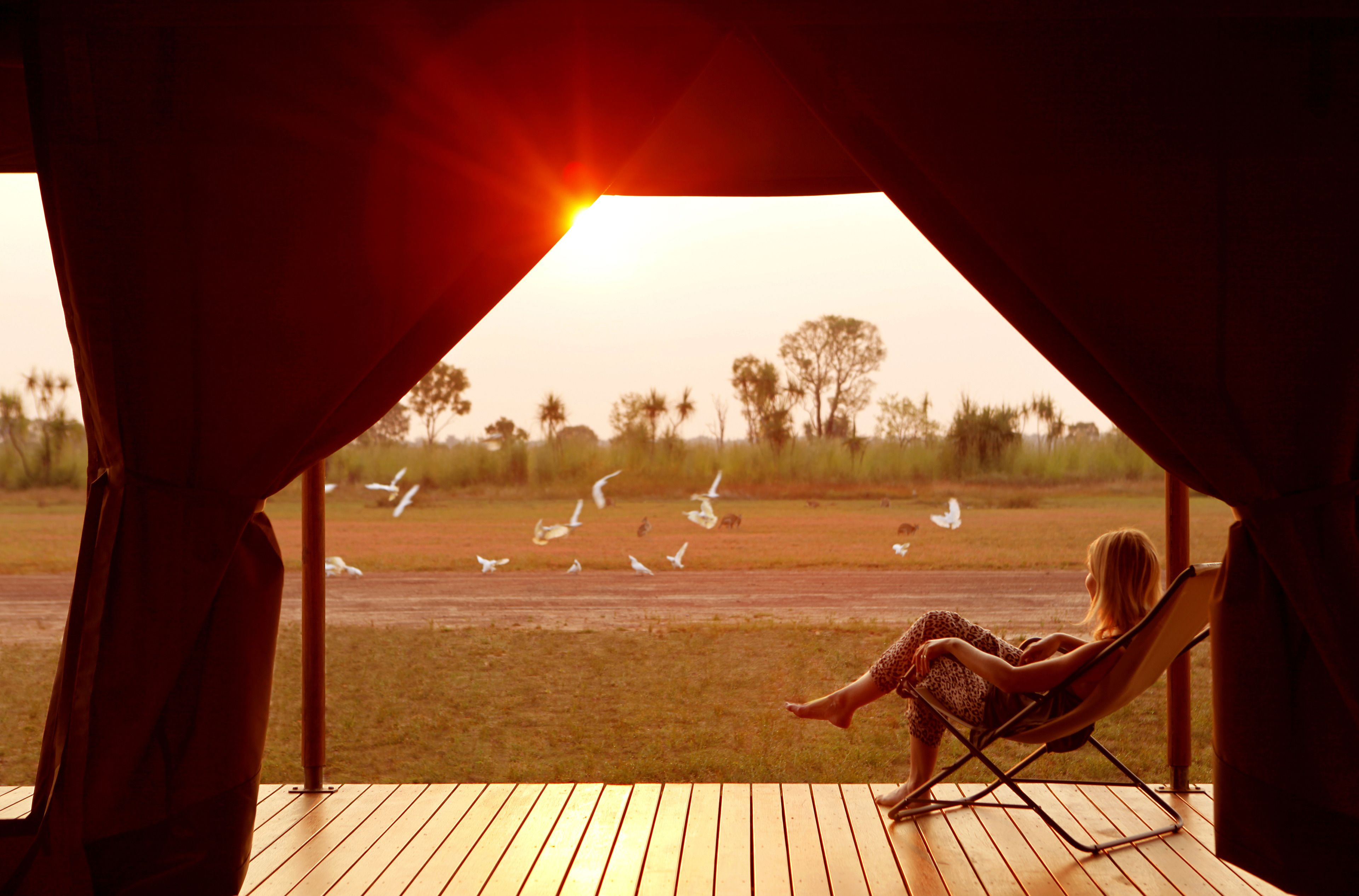 Zelt (Safari) | Ausblick vom Zimmer