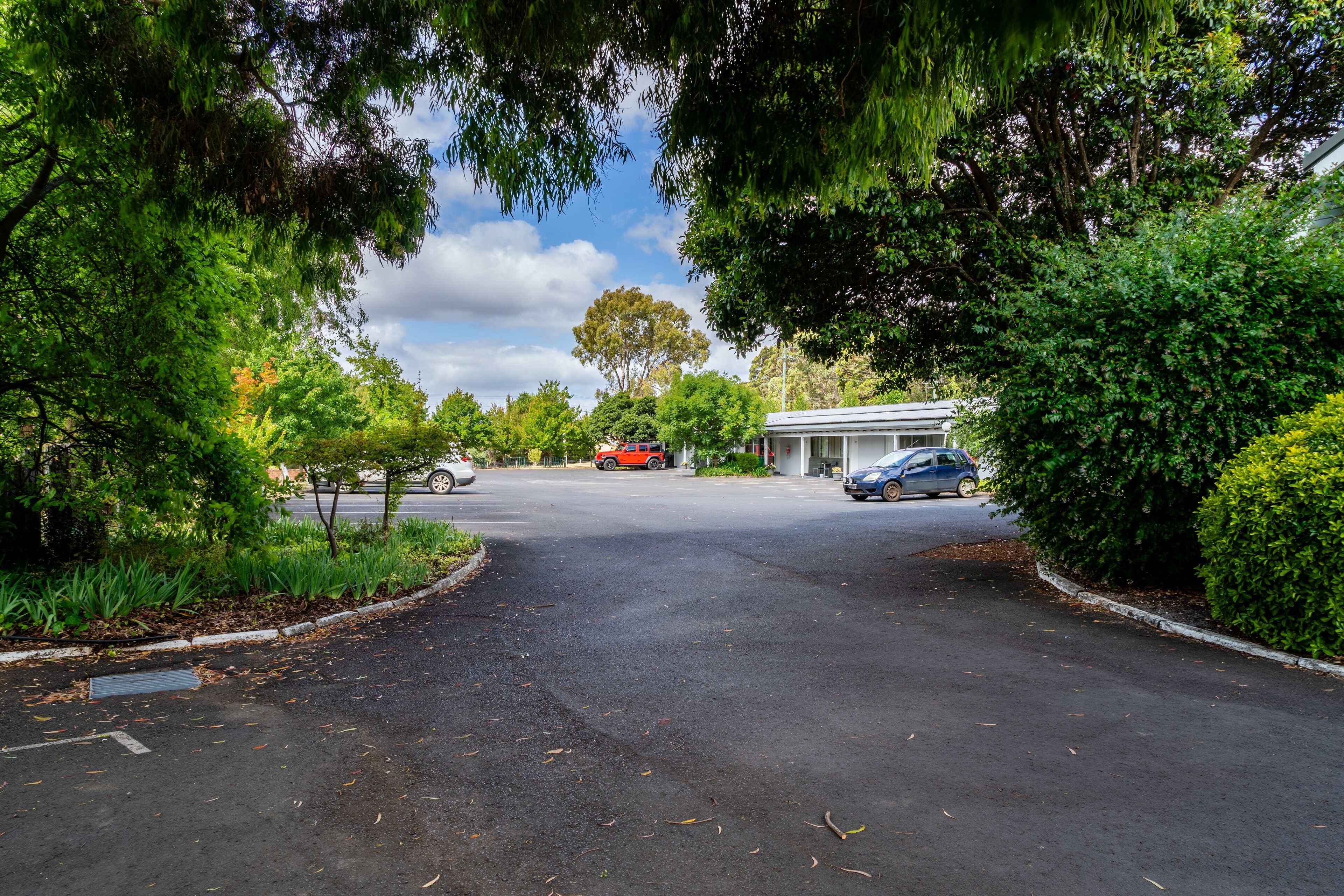 A driveway leading to a building with a garage, surrounded by lush greenery and trees.