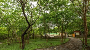 A stone pathway winding through a park with trees and a small building in the background. - The Windflower Jungle Resorts and Spa (Gundlupet)
