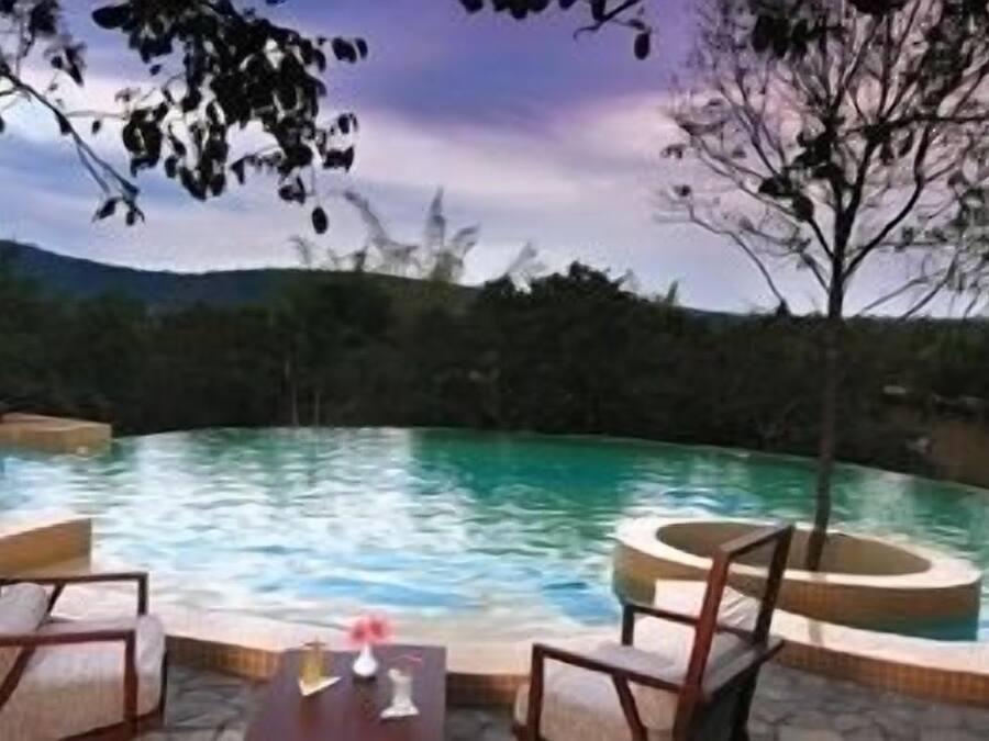 Outdoor pool, pool loungers