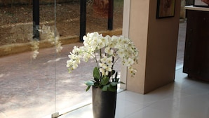 Una planta de orquídea en maceta sobre un suelo de baldosas, cerca de una puerta de cristal.