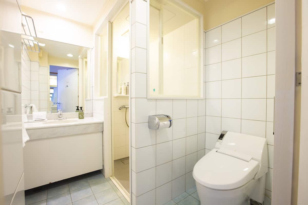 free toiletries, hair dryer, slippers, towels