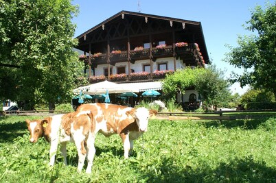 Alpenhof Landhotel Restaurant