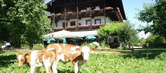 Alpenhof Landhotel Restaurant
