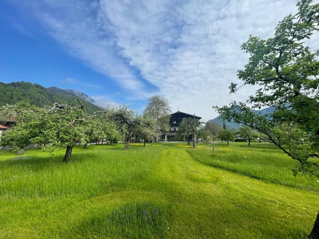 Ein grünes Feld mit Bäumen und einem Gebäude im Hintergrund.