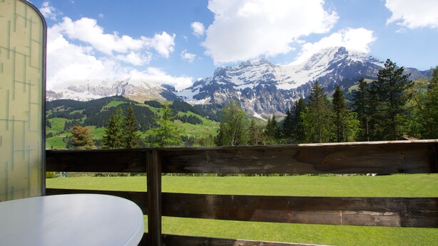 View from property - Hotel Crea (Adelboden)