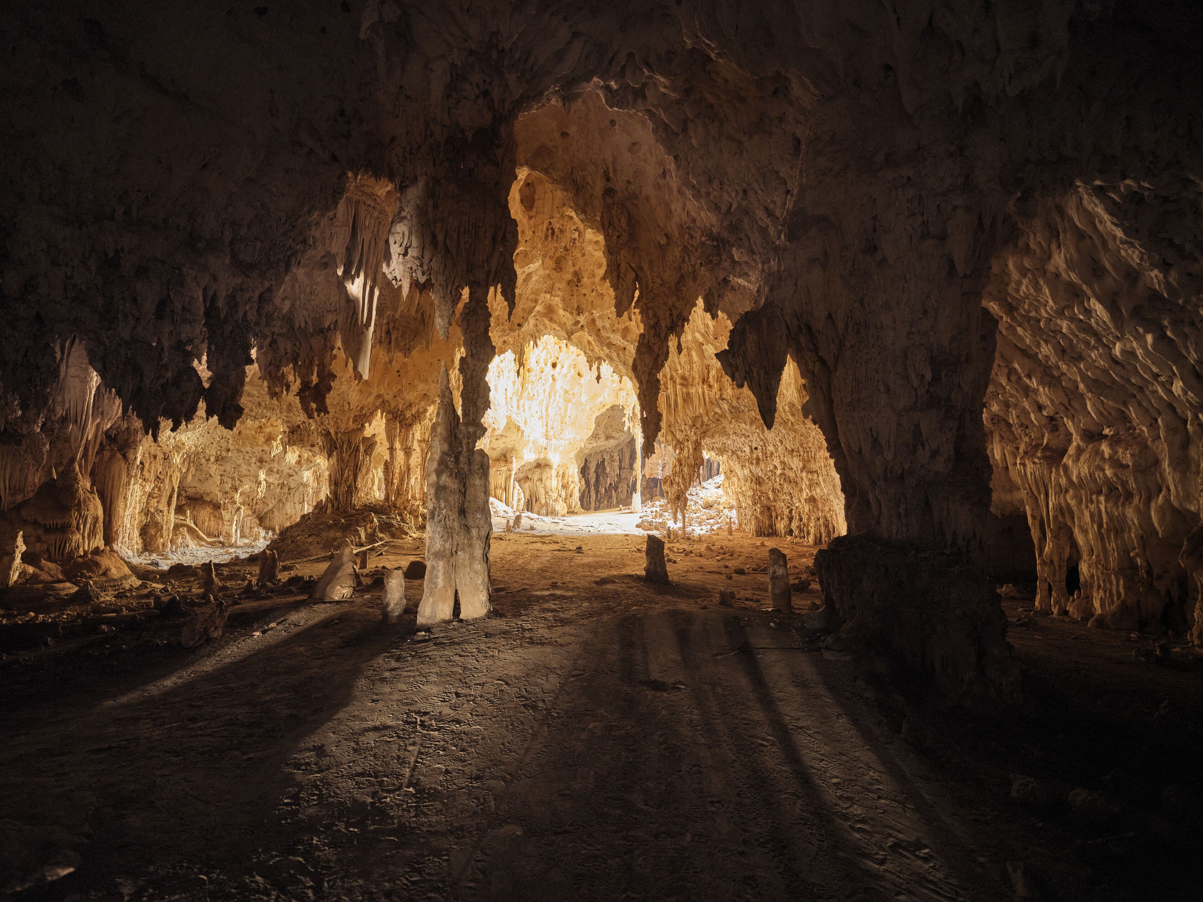 A cave interior with stalactites and stalagmites, a dirt floor, and a central light source.