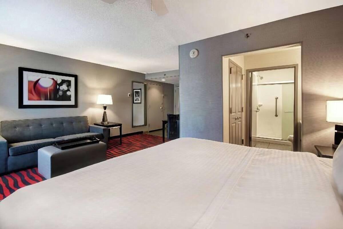 A hotel room with a bed, a sofa, a desk, a lamp, a framed picture, and a shower area.