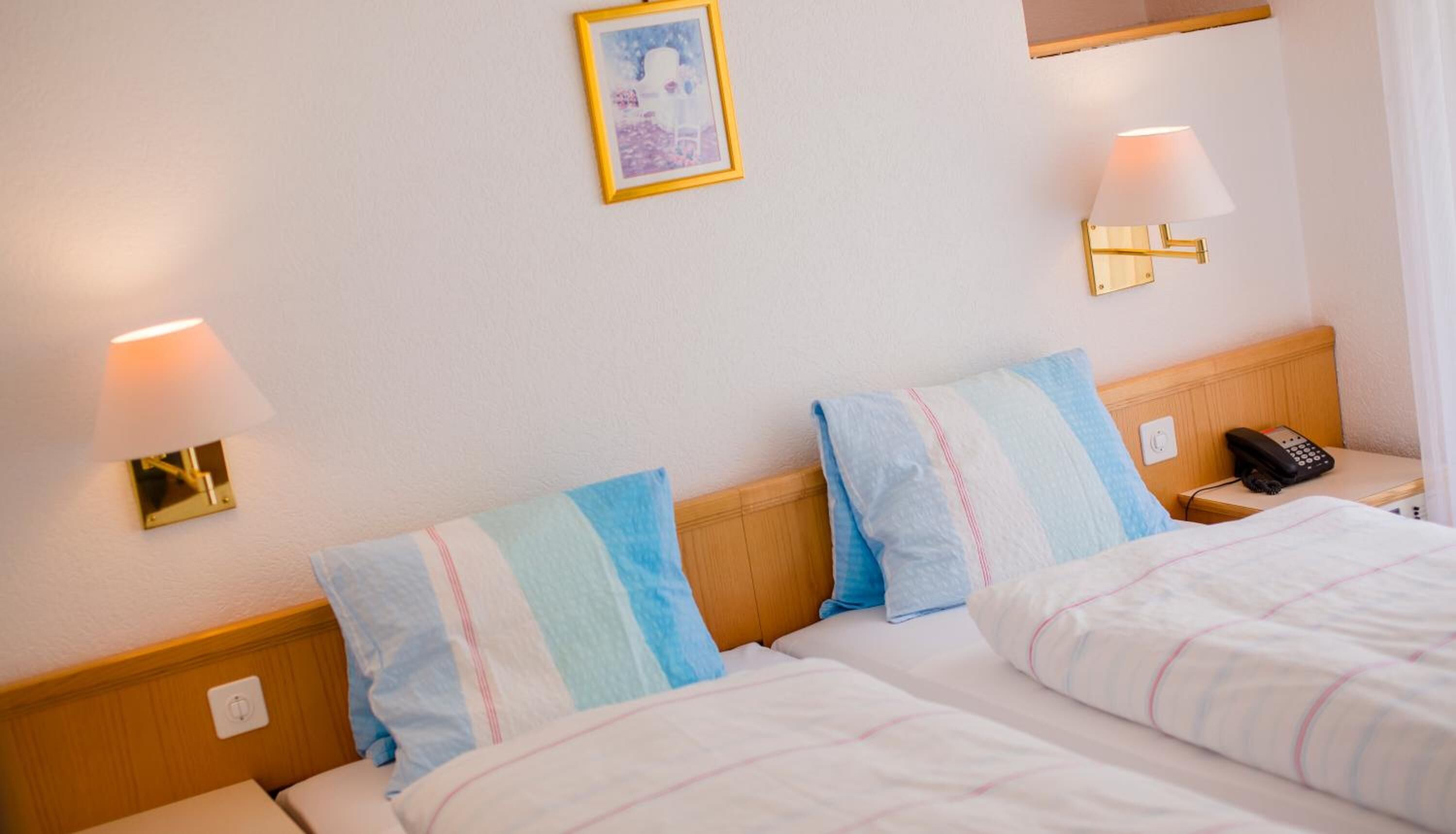 hypo-allergenic bedding, in-room safe, individually decorated, desk