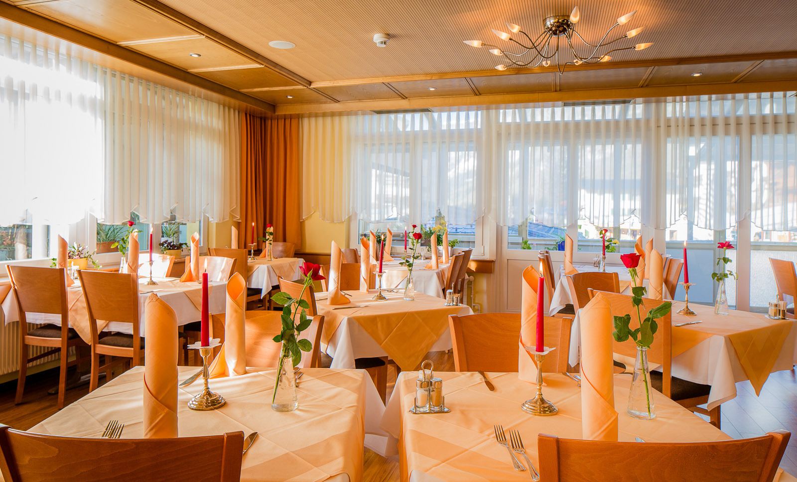 breakfast and dinner served, french cuisine