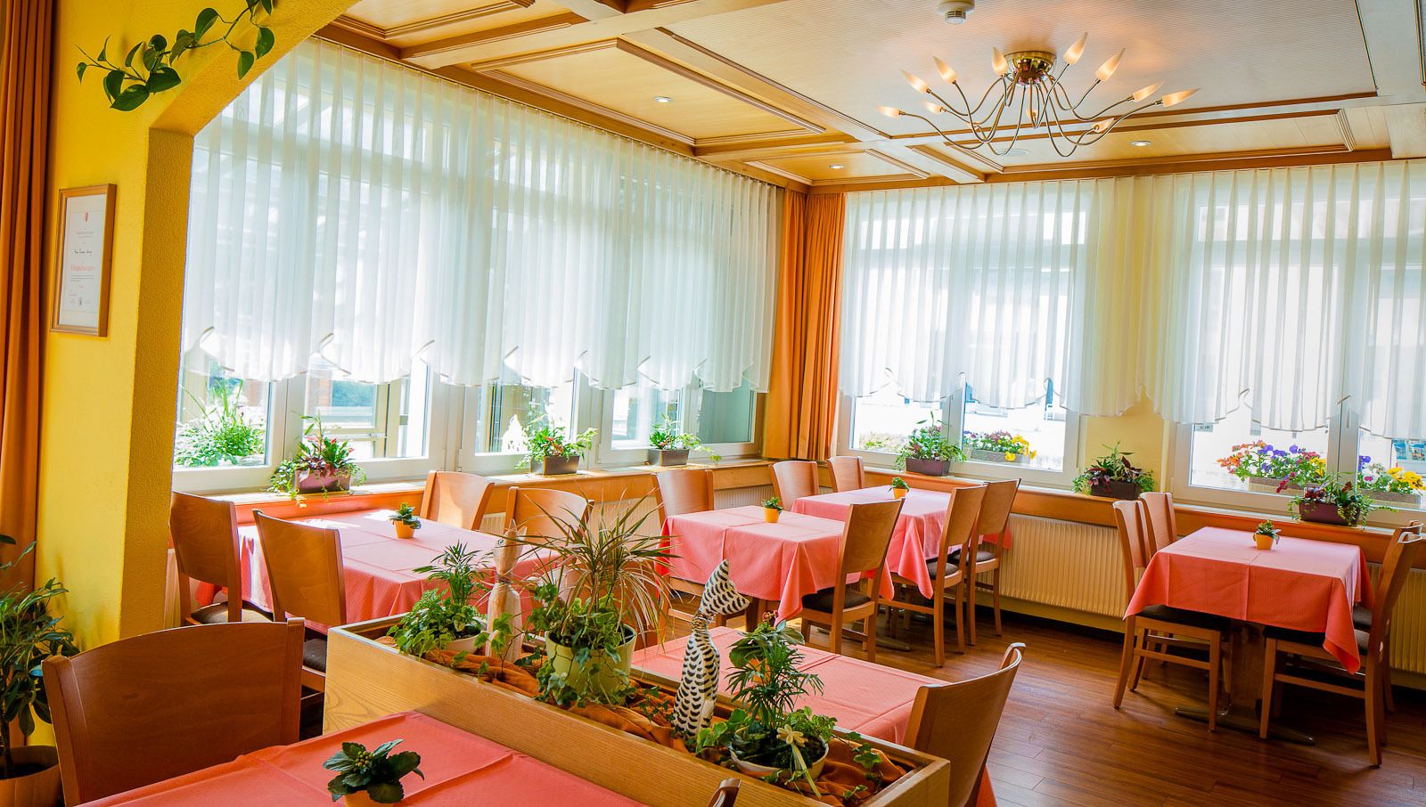 breakfast and dinner served, french cuisine