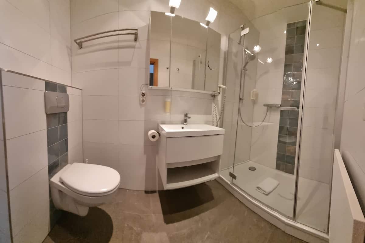 shower, free toiletries, hair dryer, towels