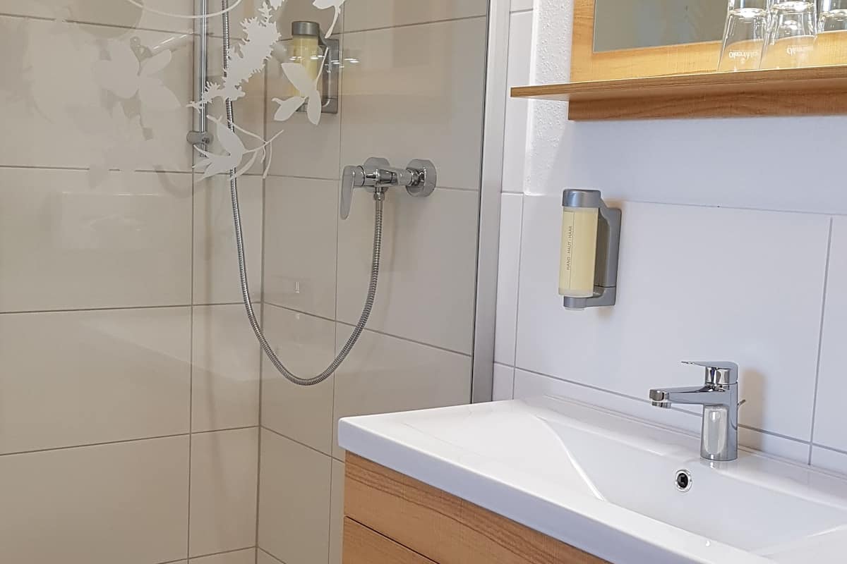 double room (plus) | bathroom sink