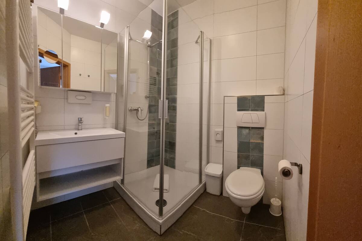 triple room | bathroom | shower, free toiletries, hair dryer, towels
