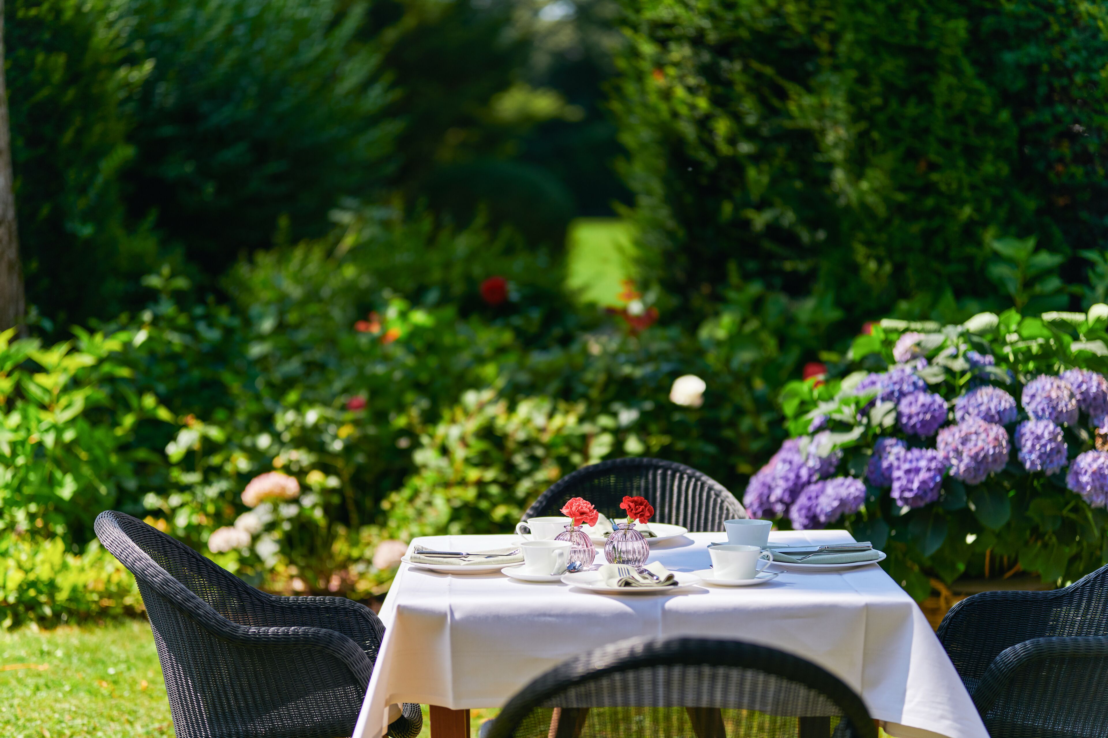 Foto - Parkhotel Rothof