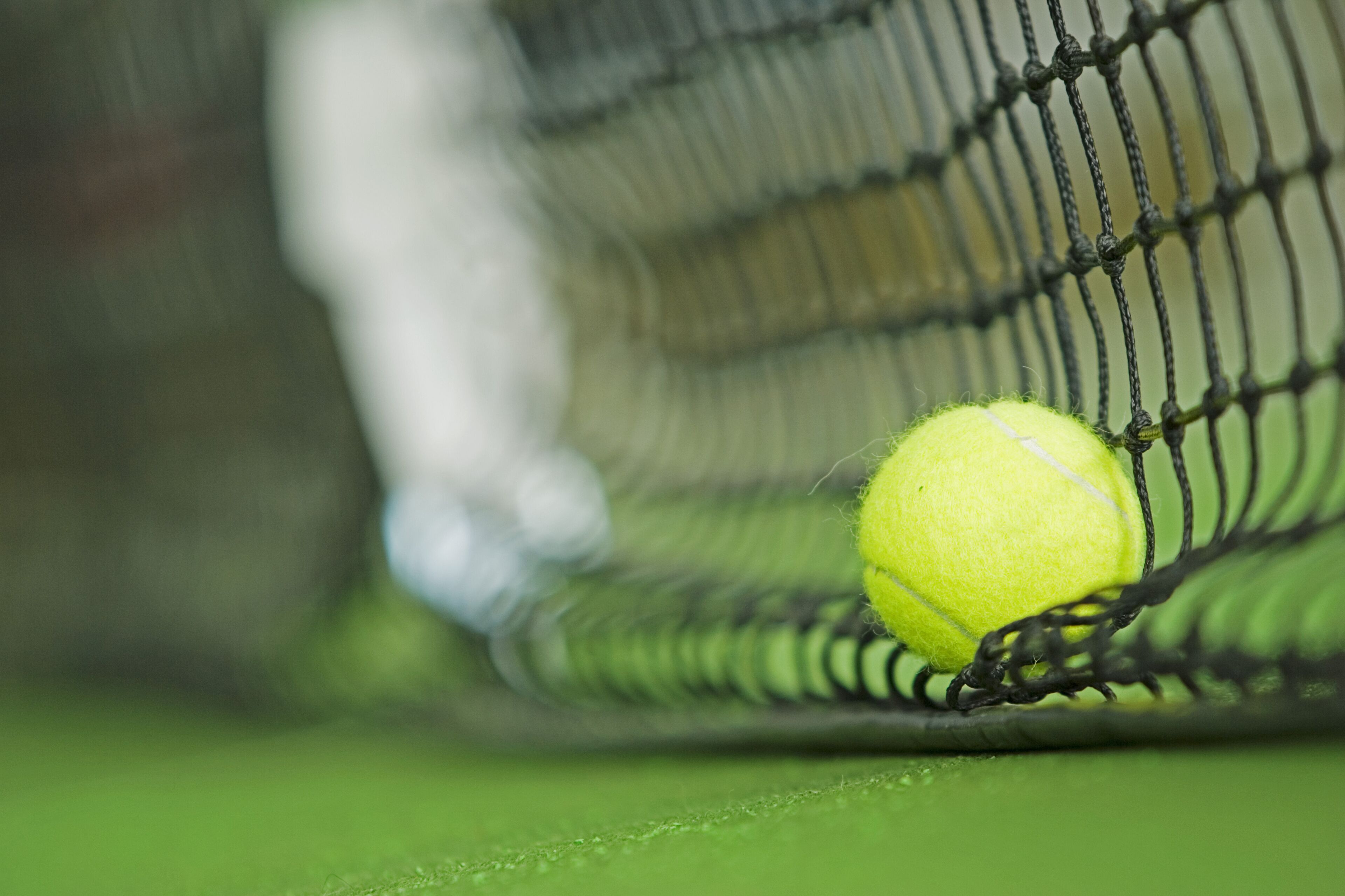 Foto - Parkhotel Rothof