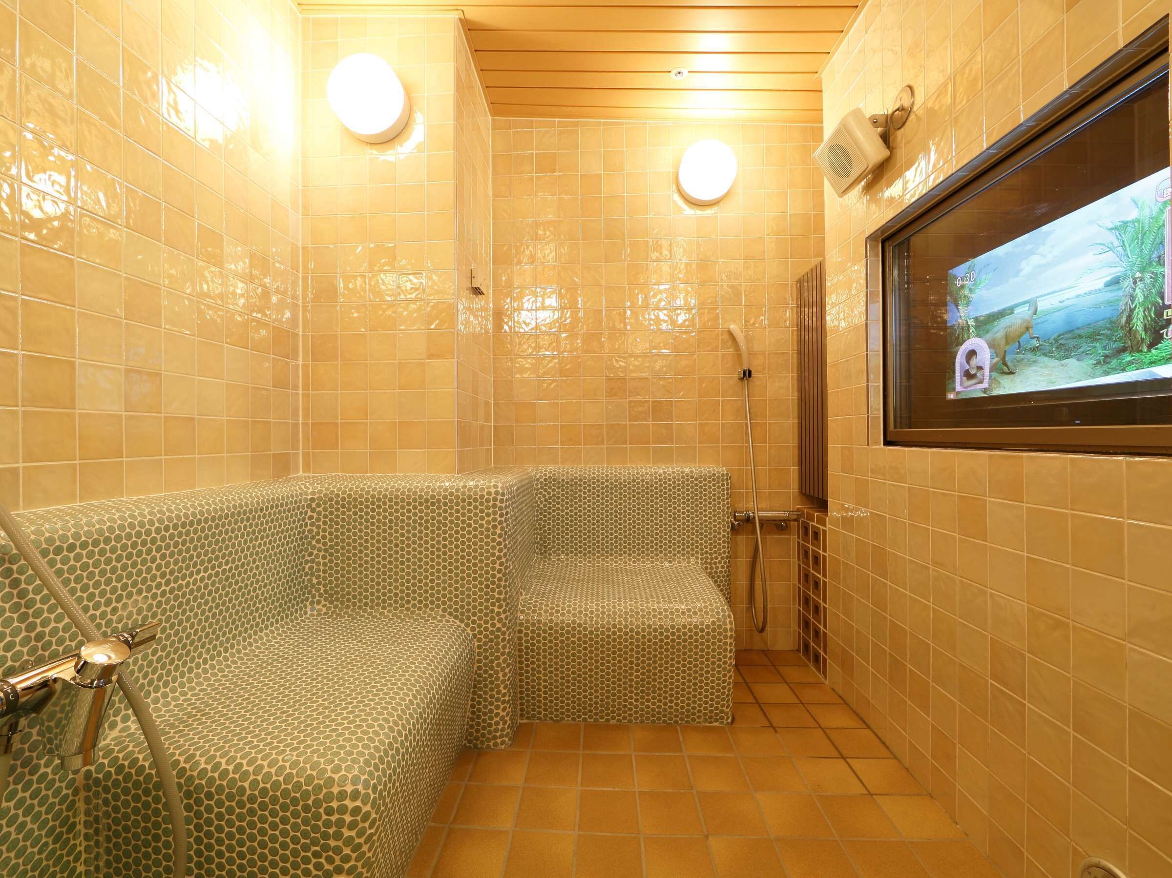 A shower area with a tiled wall, a showerhead, and a window displaying a landscape.