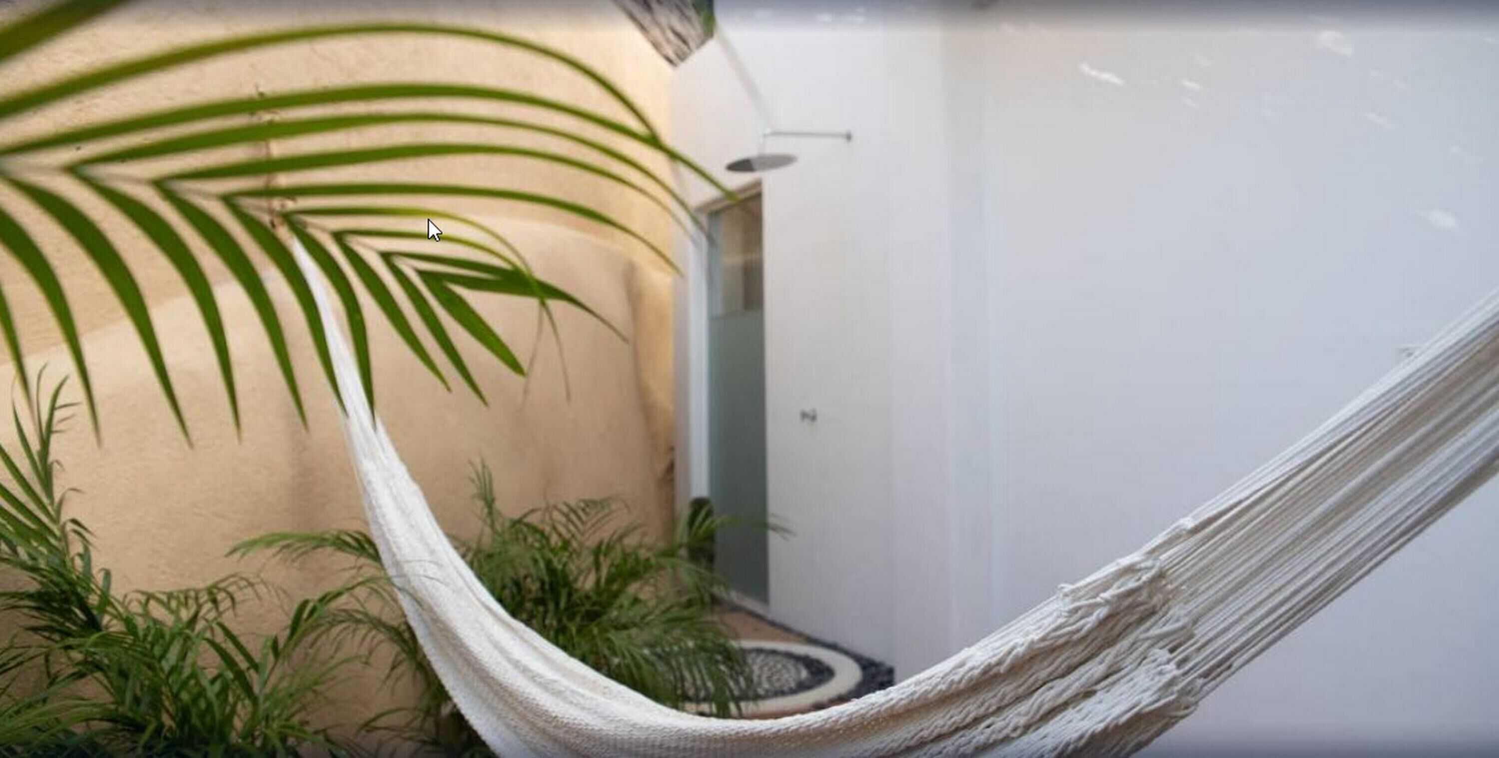 A hammock tied between two palm trees in a room with a white wall and a door.