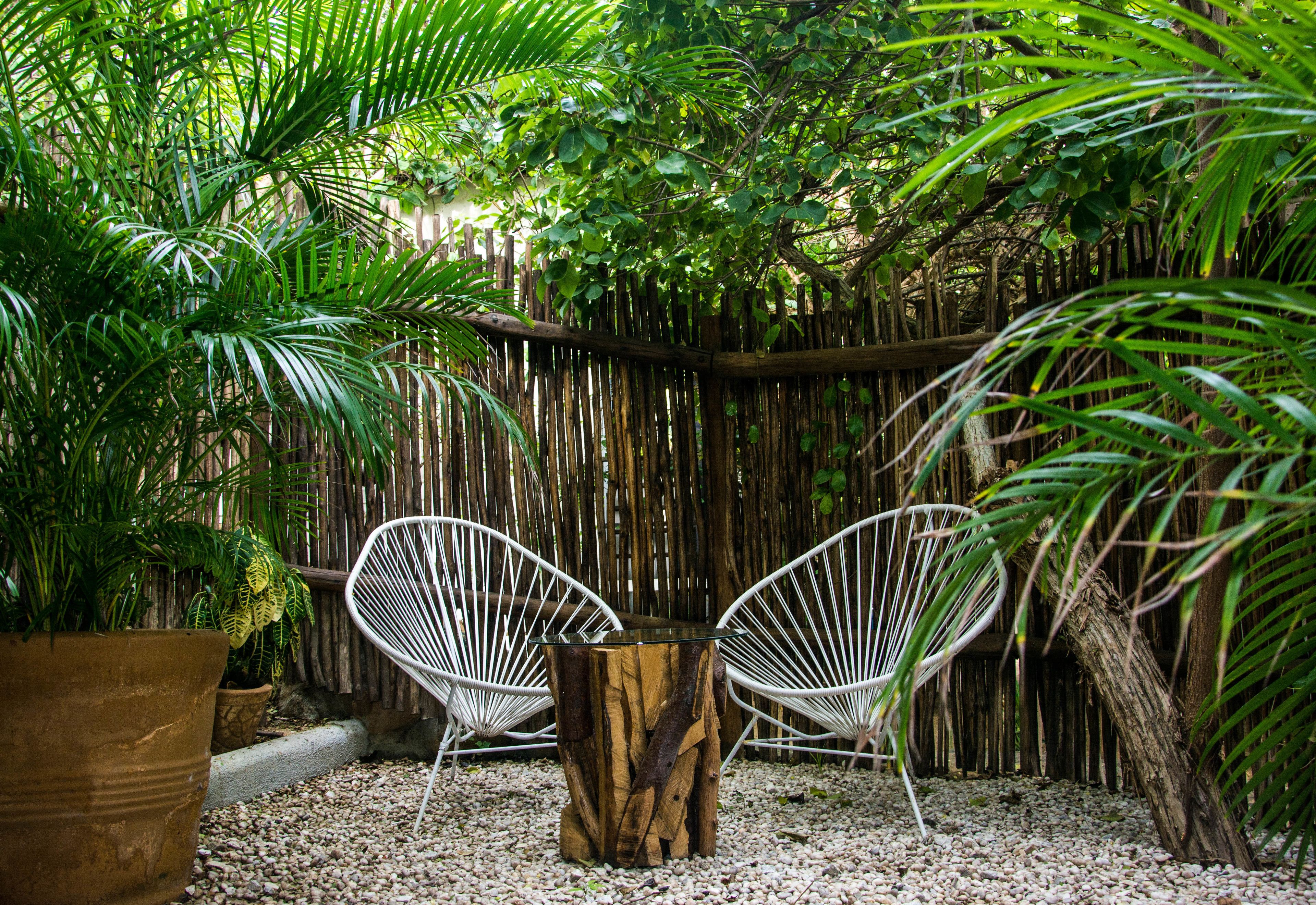 A garden area with two white wicker chairs, a wooden table, and a large potted plant.