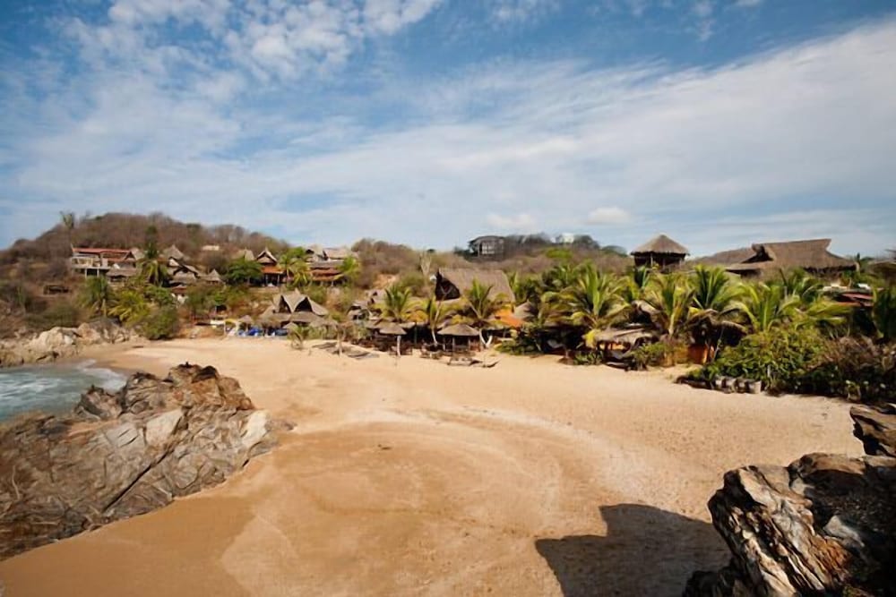 El Alquimista by null