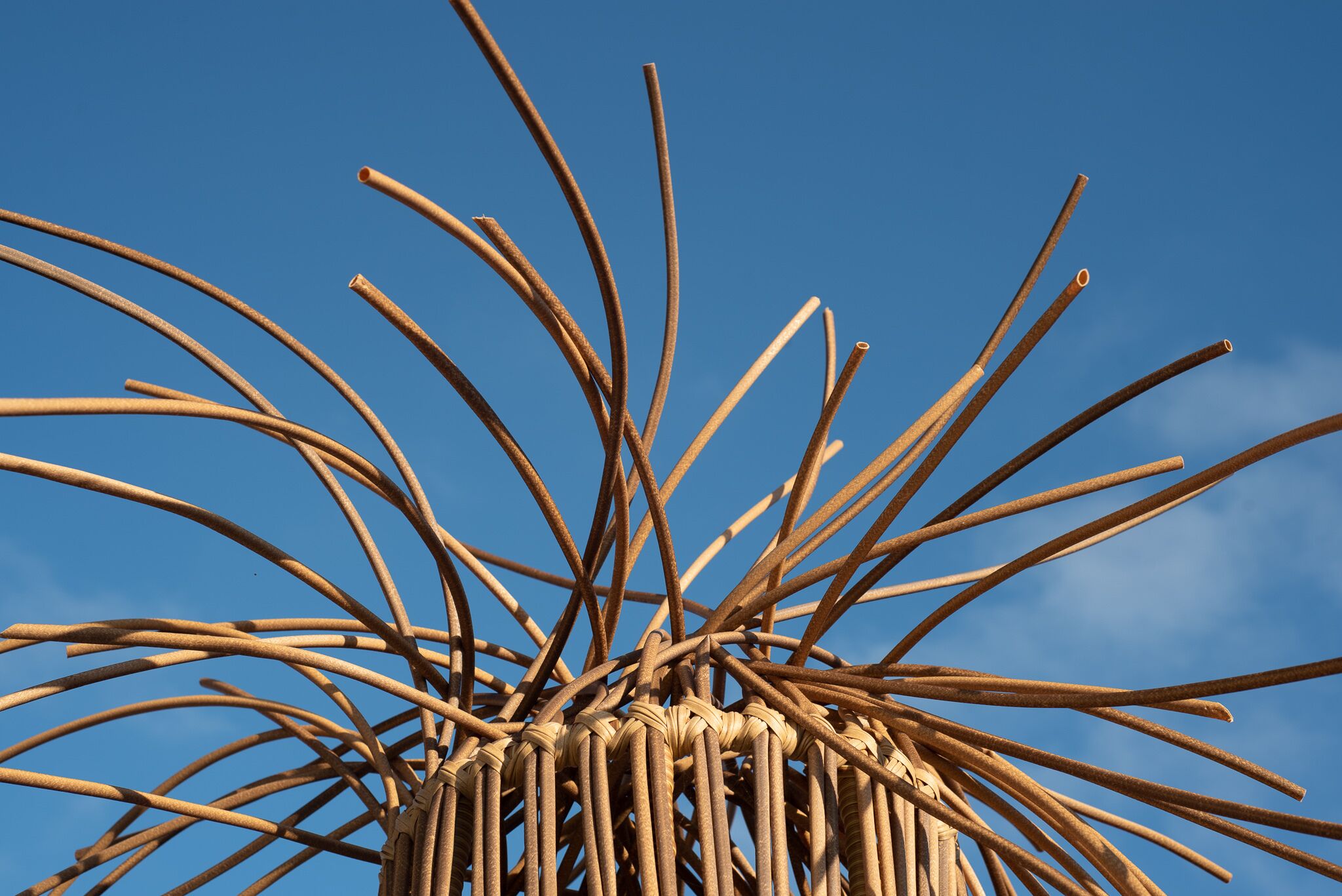 A close-up of a structure with multiple thin, curved elements against a clear blue sky.
