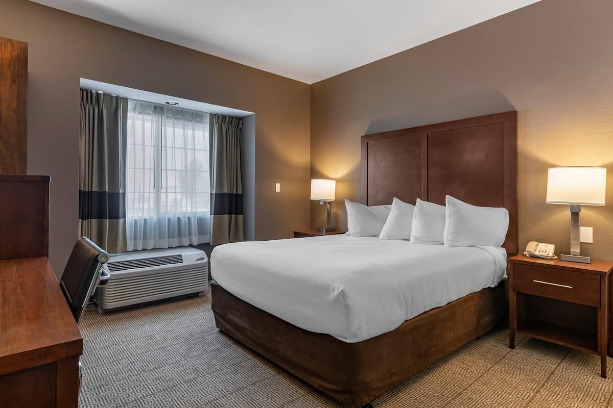 Habitación estándar, 1 cama Queen size, para no fumadores | Ropa de cama de alta calidad y edredón