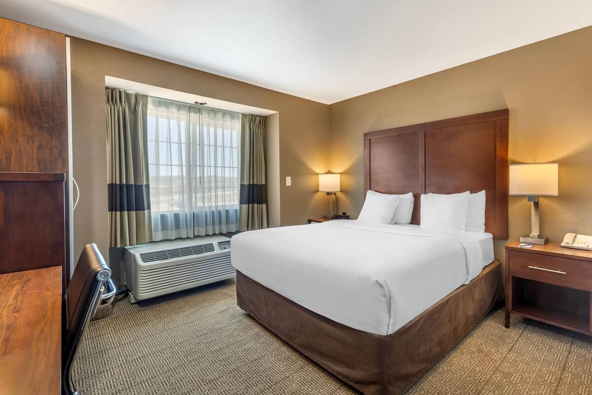 Standard Room, 1 Queen Bed, Non Smoking | Premium bedding, down duvets, in-room safe, desk