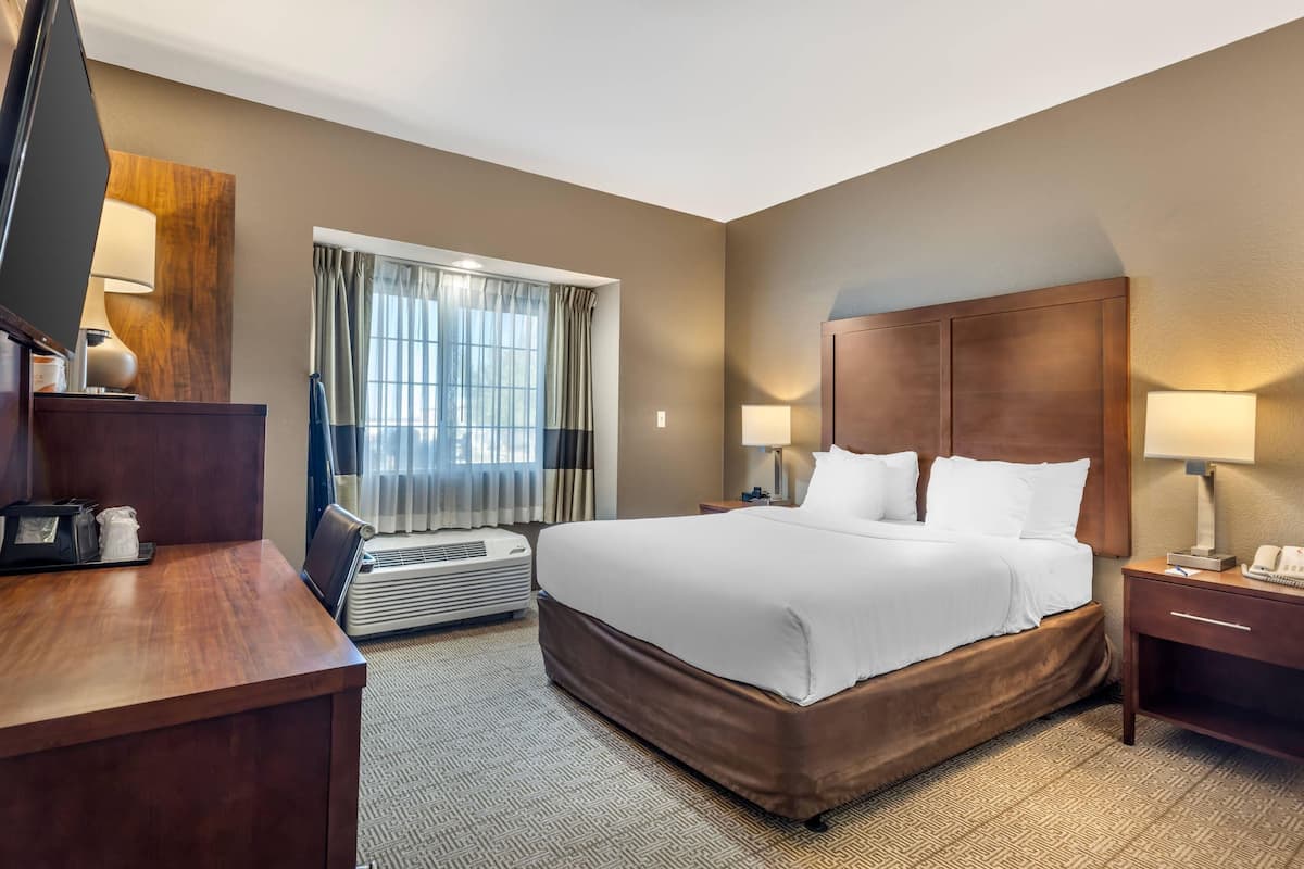 Una habitación de hotel con una cama grande, un escritorio, una silla, un televisor y una ventana con cortinas.
