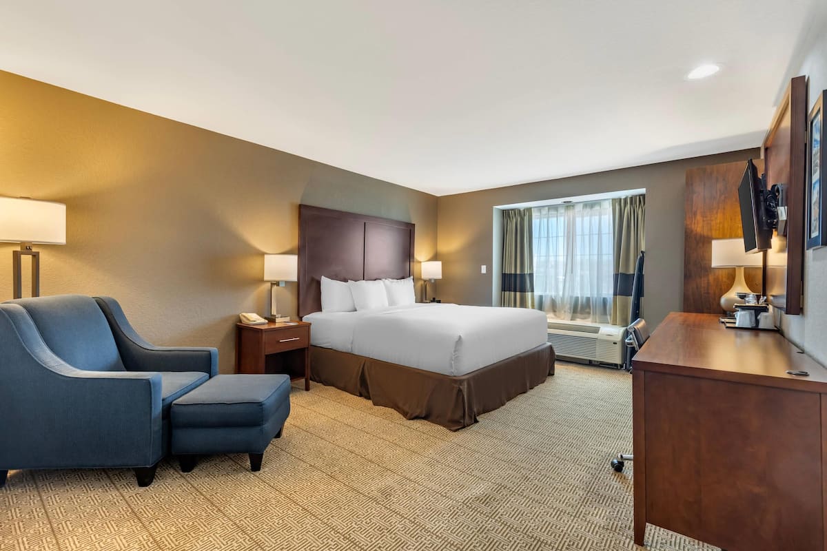 Una habitación de hotel con cama, escritorio, silla y televisión.