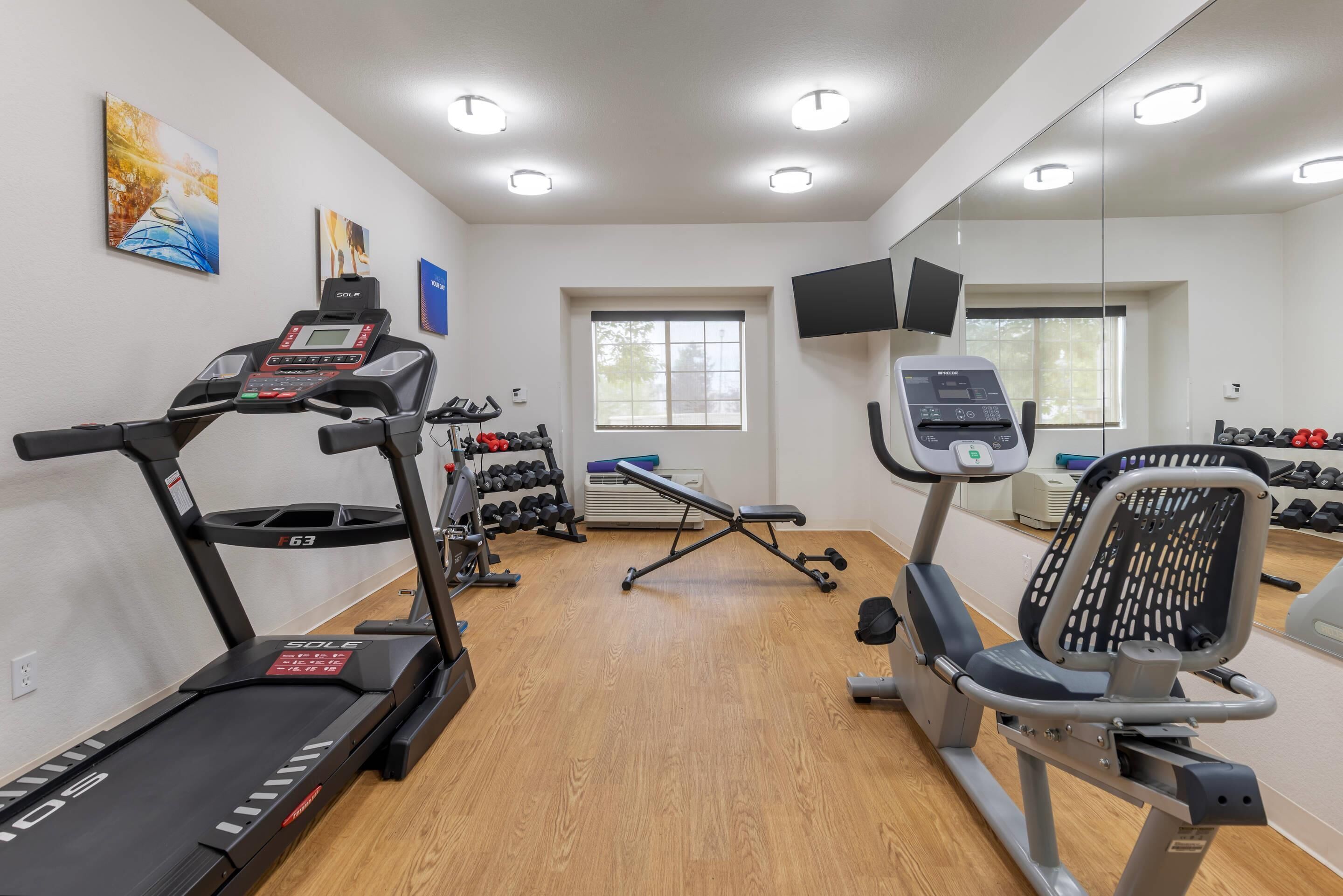 A gym with treadmills, weight machines, and a mirror wall.
