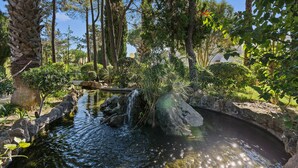 A serene garden with a small pond, surrounded by various trees and plants. - Four Seasons Country Club (Loulé)