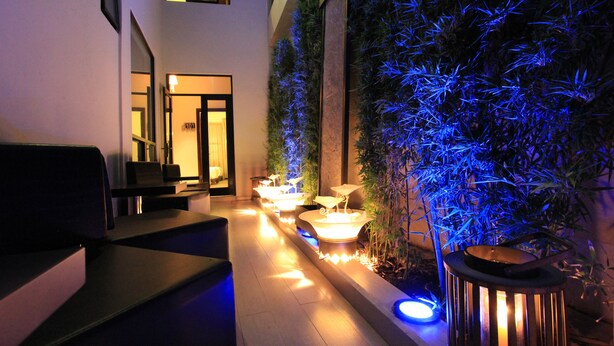 A modern indoor space with a reception desk, a pathway lined with illuminated planters, and a vertical garden illuminated with blue lighting.