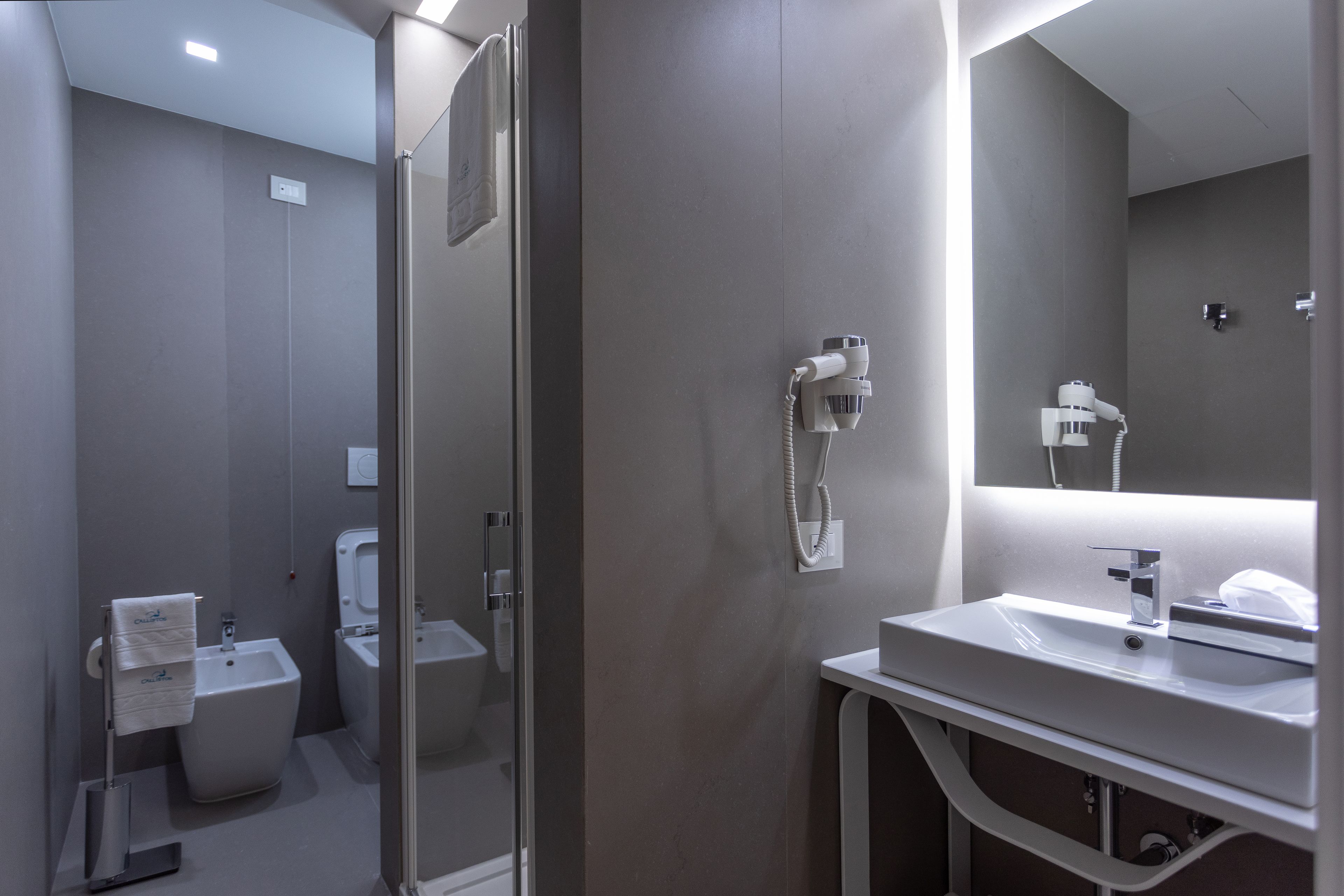 A modern bathroom with a glass shower enclosure, a white sink, and a mirror above the sink.