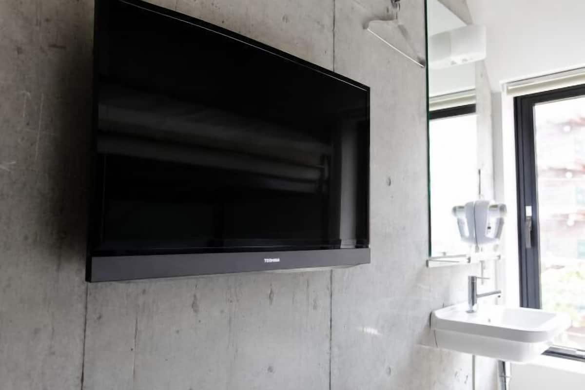 Television