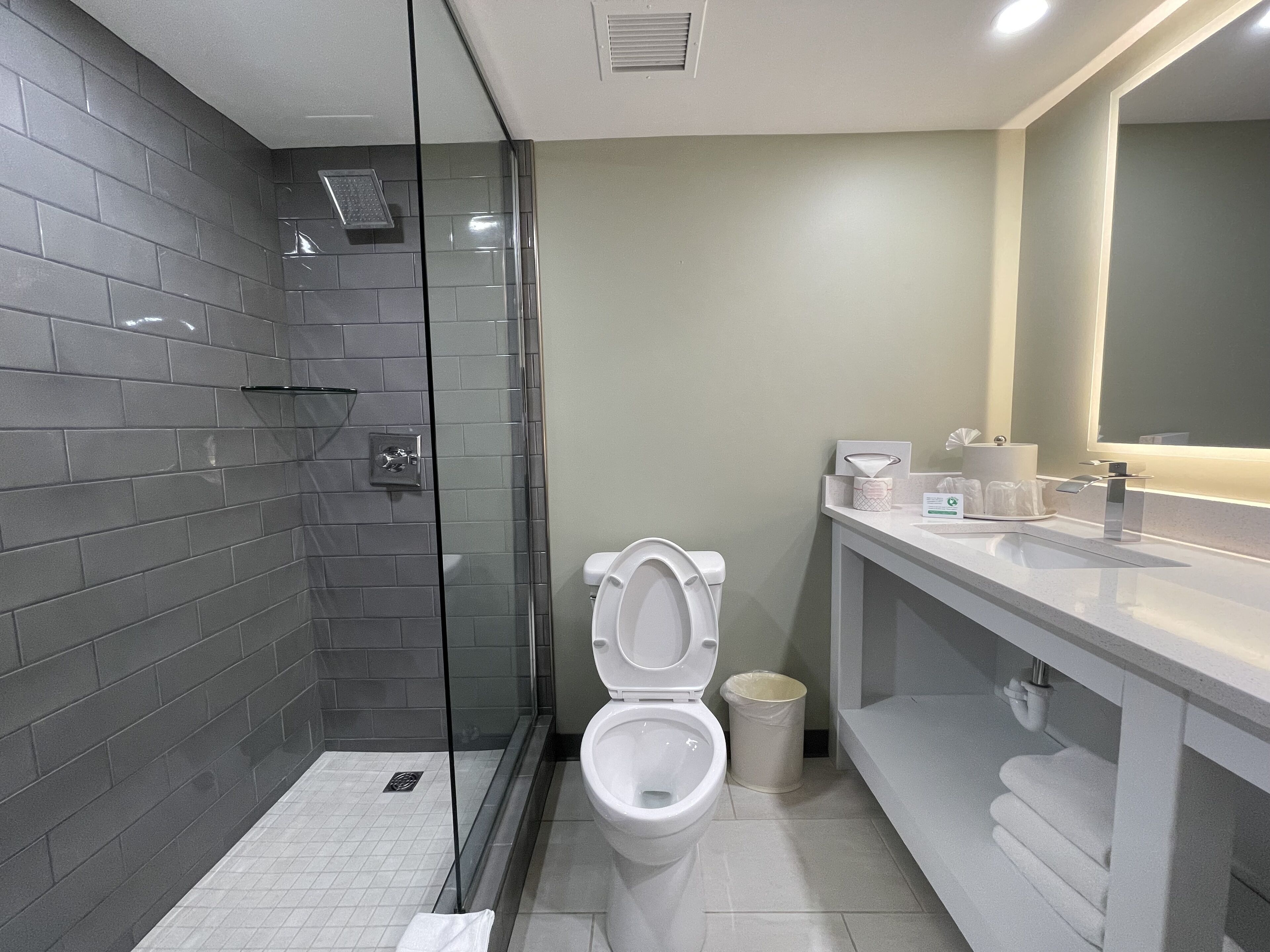 A modern bathroom with a glass-enclosed shower, a toilet, and a vanity with a mirror.