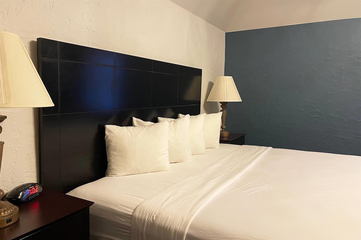 Studio Suite, 1 King Bed, Non Smoking | 1 bedroom, laptop workspace, blackout drapes, iron/ironing board
